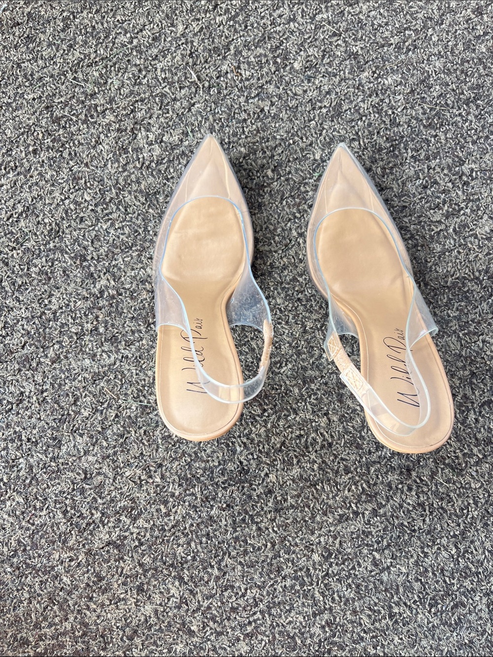 Clear Pointed Slingback Flats - Tan Insole